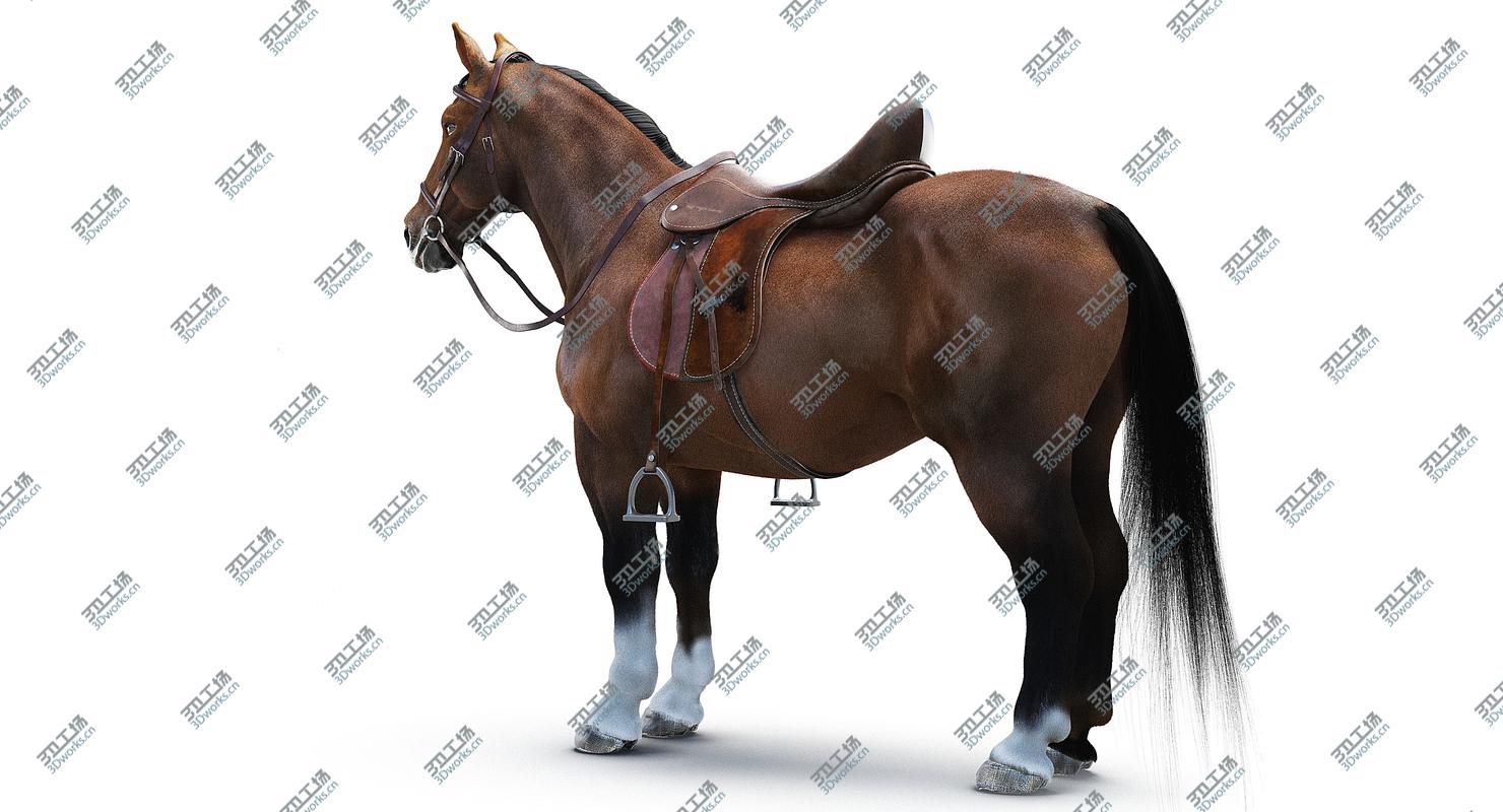 images/goods_img/2021040235/Saddled Horse/5.jpg